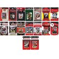 Williams & Son Saw & Supply C&I Collectables BUCS1618TS NFL Tampa Bay Buccaneers 16 Different Licensed Trading Card Team Sets BUCS1618TS